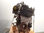 7403159 motor completo / K9K646 / para nissan qashqai (J11) 1.5 Turbodiesel cat - Foto 4
