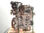 7407918 motor completo / dpc / dpca / para volkswagen tiguan (AX1) 1.5 16V tsi a - 1