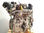 7415866 motor completo / N47C16A / para toyota auris 1.6 d-4D cat - Foto 3