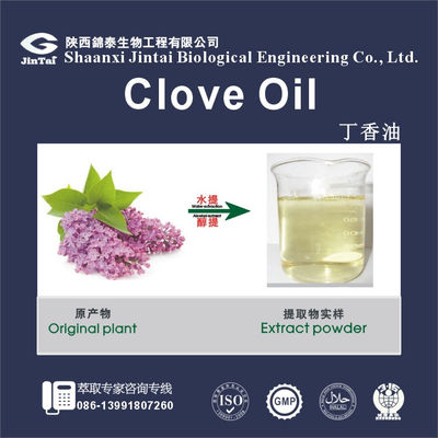 85% indonesia eugenol liquid clove oil