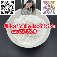 99% high purity powder Lidocaine hydrochloride cas 73-78-9