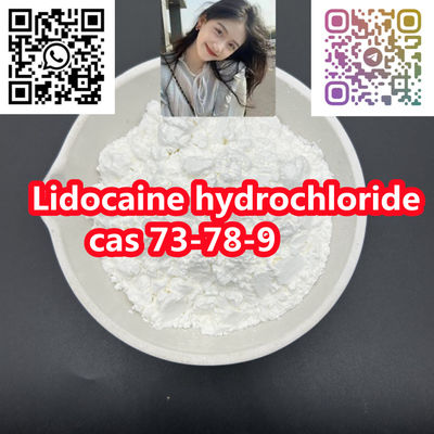 99% high purity powder Lidocaine hydrochloride cas 73-78-9 - Photo 3