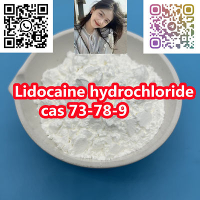99% high purity powder Lidocaine hydrochloride cas 73-78-9 - Photo 4