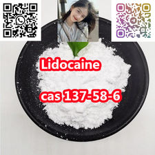 99% + Lidocaine cas 137-58-6 with best price and high quality