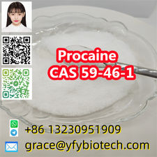 99% Procaine cas 59-46-1 with best price