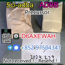 99% purity 5cladba precursor raw 5cl-adb-a adbb raw material