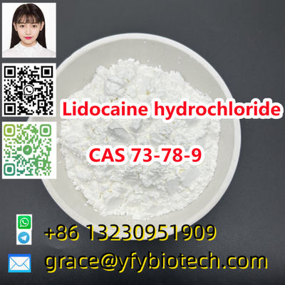 99% purity powder Lidocaine hydrochloride cas 73-78-9
