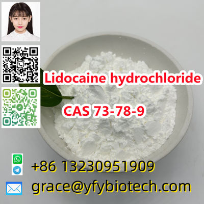 99% purity powder Lidocaine hydrochloride cas 73-78-9 - Photo 2