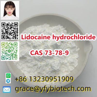 99% purity powder Lidocaine hydrochloride cas 73-78-9 - Photo 3