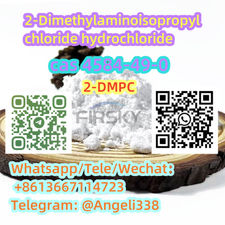 99% purity reliable supplier 4584-49-0 2-Dimethylaminoisopropyl chloride hydroch