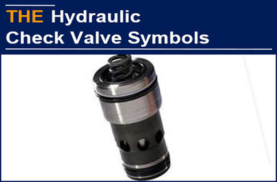 A Small Hydraulic Check Valve Symbol Nearly Killed the Hydraulic Valve facturer
