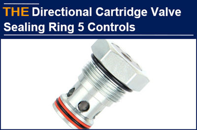 AAK control the sealing ring of Hydraulic Directional Control Cartridge Valve fr