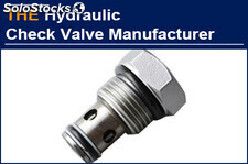 AAK Finished the Order of Hydraulic Check Valve in 10 Days