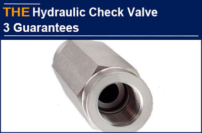 AAK Hydraulic Check Valve with 3 major guarantees, waiting for Diego&#39;s big order