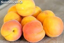 abricots frais