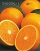 Aceite aromático granel de naranja verde envase 5l