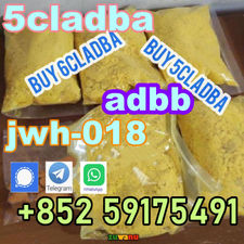 adbb 5cladba Best cannabinoid 5cl-adba precursor raw material +85259175491