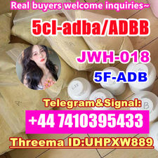ADBB adb-butinaca Cas 2682867-55-4 5cladba adbb precursor 5cl powder