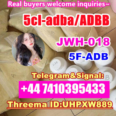 ADBB adb-butinaca Cas 2682867-55-4 5cladba adbb precursor 5cl powder