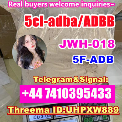 ADBB adb-butinaca Cas 2682867-55-4 5cladba adbb precursor 5cl powder - Photo 3