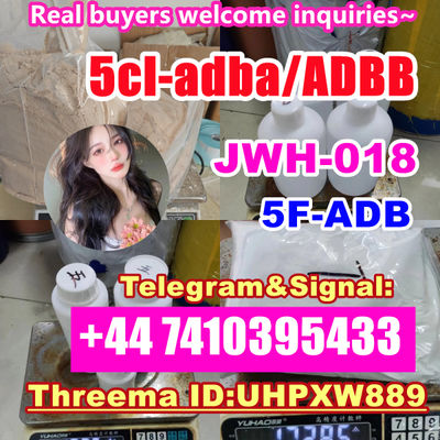 ADBB adb-butinaca Cas 2682867-55-4 5cladba adbb precursor 5cl powder - Photo 5