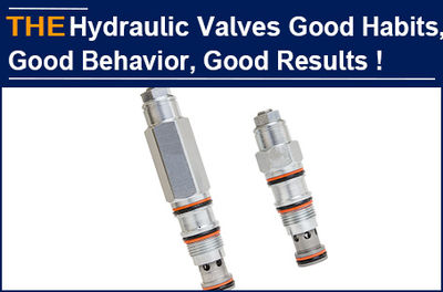 Adhere to the 3 working habits for 24 years, the growth of AAK Hydraulic Valves