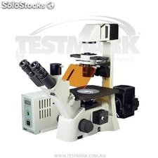 ae31 Microscópio Triocular Invertido