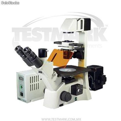 ae31 Microscópio Triocular Invertido