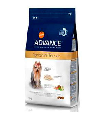 Affinity Advance Yorkshire Terrier Adulto 1.50 Kg
