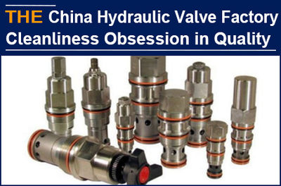 After comparing 6 hydraulic valve factories in China, James found that AAK has a - Foto 2