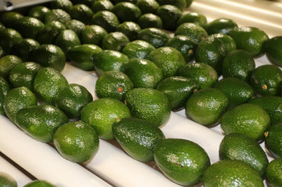 Aguacate Hass - Foto 2