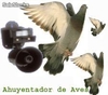 Ahuyentador de Aves con Sensor de Movimiento incorporado