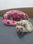 Alcofa porquinho da india, ouriço pequenos animais- saco dormir PET - Foto 3