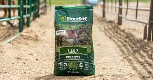 Alfalfa Hay Bales/ Alfalfa Cubes/ Alfalfa Pellets Stock Available. - Foto 2