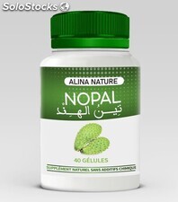 Alina nature nopal bio 40 gélules minceur brûleurs de graisse