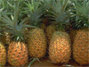 ananas