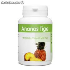 Ananas Tige - 280 Mg - 100 Gélules