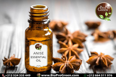 Anise Essential Oil Wholesale Products - Photo 4