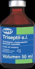 Antimicrobiano Triseptil-s.i.