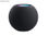 Apple HomePod Mini Smart-Lautsprecher Spacegrey EU MY5G2D/A - 2