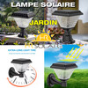 solar light