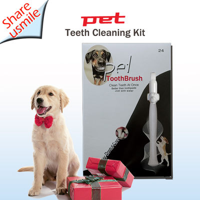 Approach of home dog dental cleaning Oral Care pet teeth cleaning kit