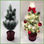 Árbol de navidad con luces decorativas - 1