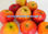 Arboles plantas de manzanos VIvero Frutas - 1