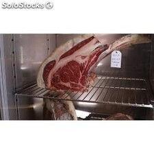 Armoire de maturation pour la viande expocarn-150 expocarn-150 - Photo 3
