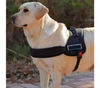 Arnés ajustable de perro acolchado para el adiestramiento educación Rojo M