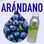 Aroma de Arándano 1Kg - 1