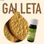 Aroma de Galleta - 1