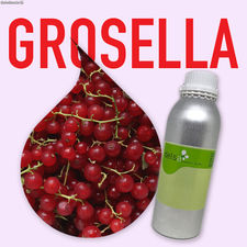 Aroma de Grosella 1Kg