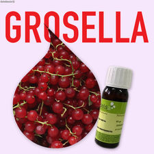 Aroma de Grosella